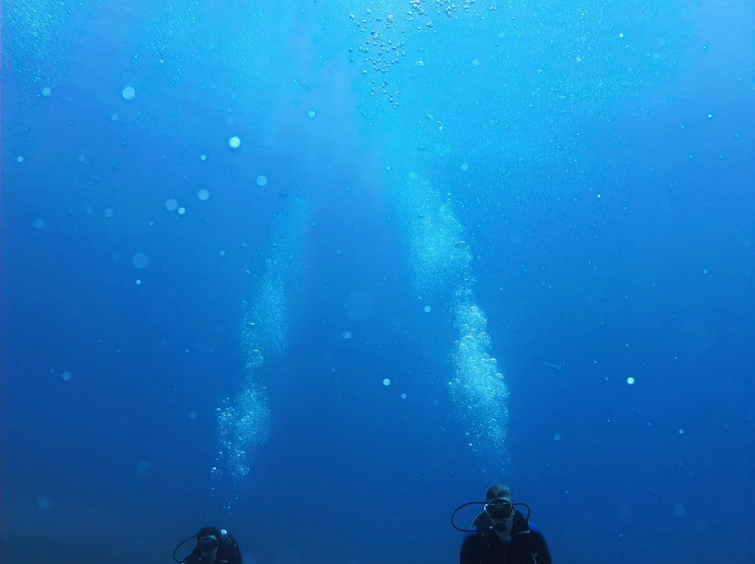Eco Diving Center-Ammoudara必去景点