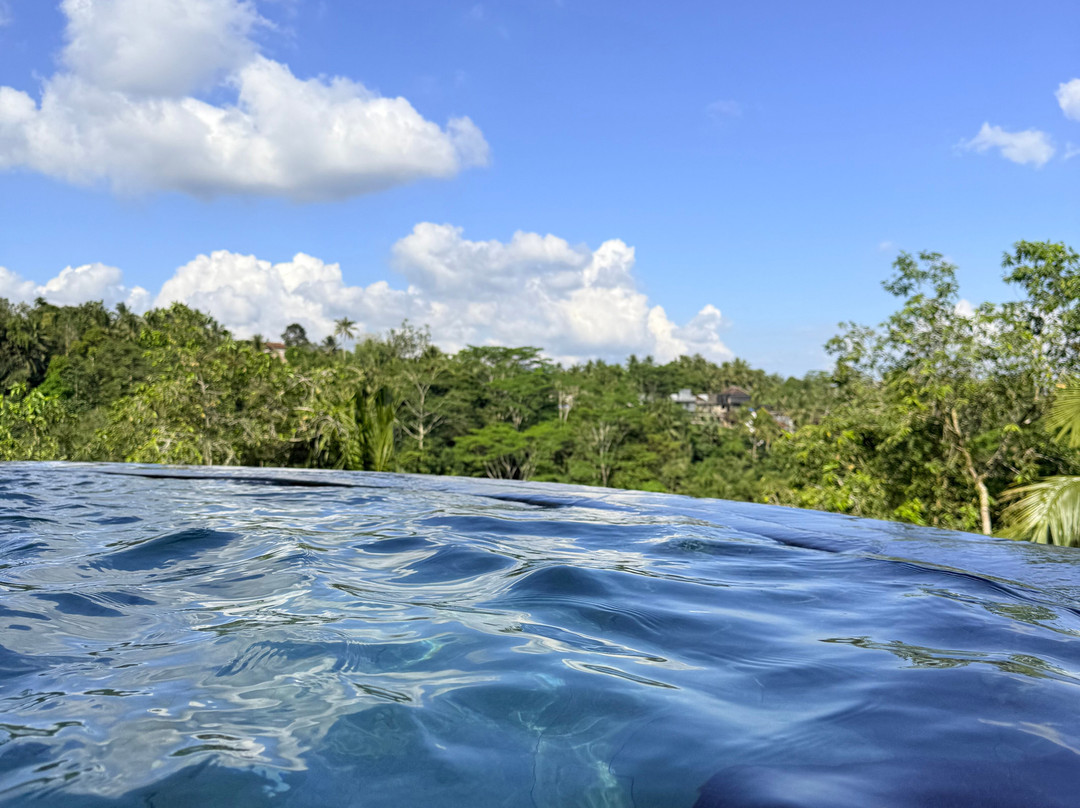 Wanna Jungle Pool and Bar-佩艳艮必去景点