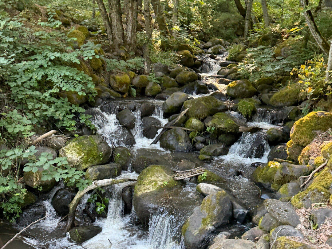 Mount Hood Railroad-胡德里弗必去景点