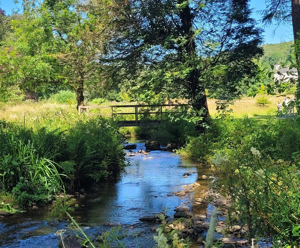 Colby Woodland Garden (National Trust)-Amroth必去景点