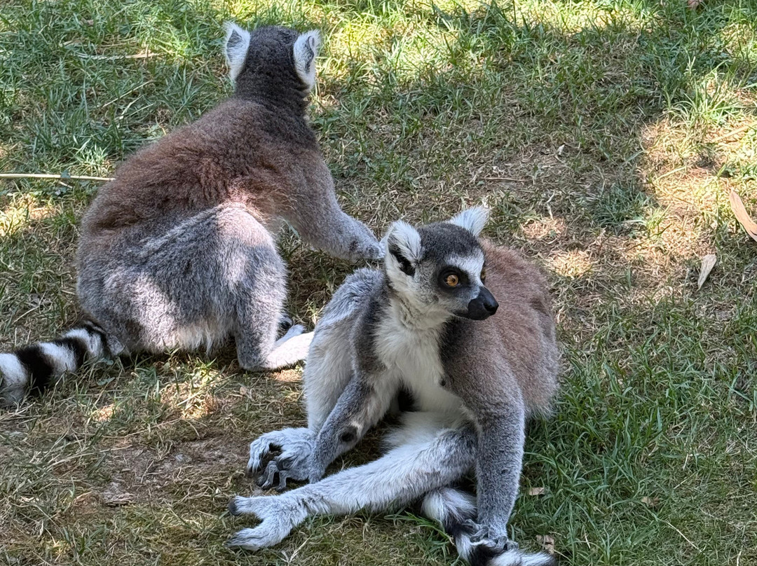 Parc Animalier Des Pyrénées-Ayzac-Ost必去景点
