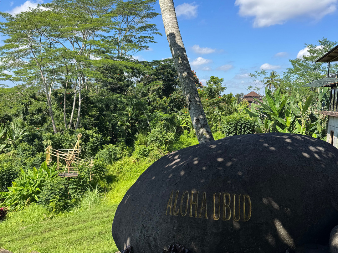 Aloha Ubud Swing-乌布必去景点