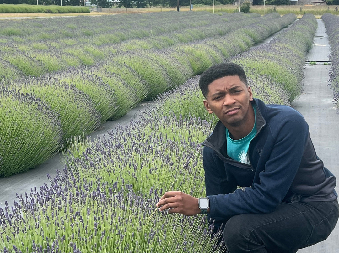 B & B Family Lavender Farm-塞奎姆必去景点