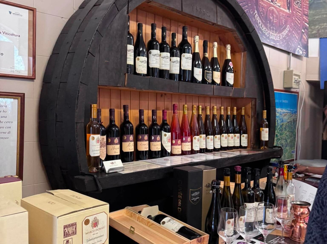 Cantina Marco Donati-Mezzocorona必去景点