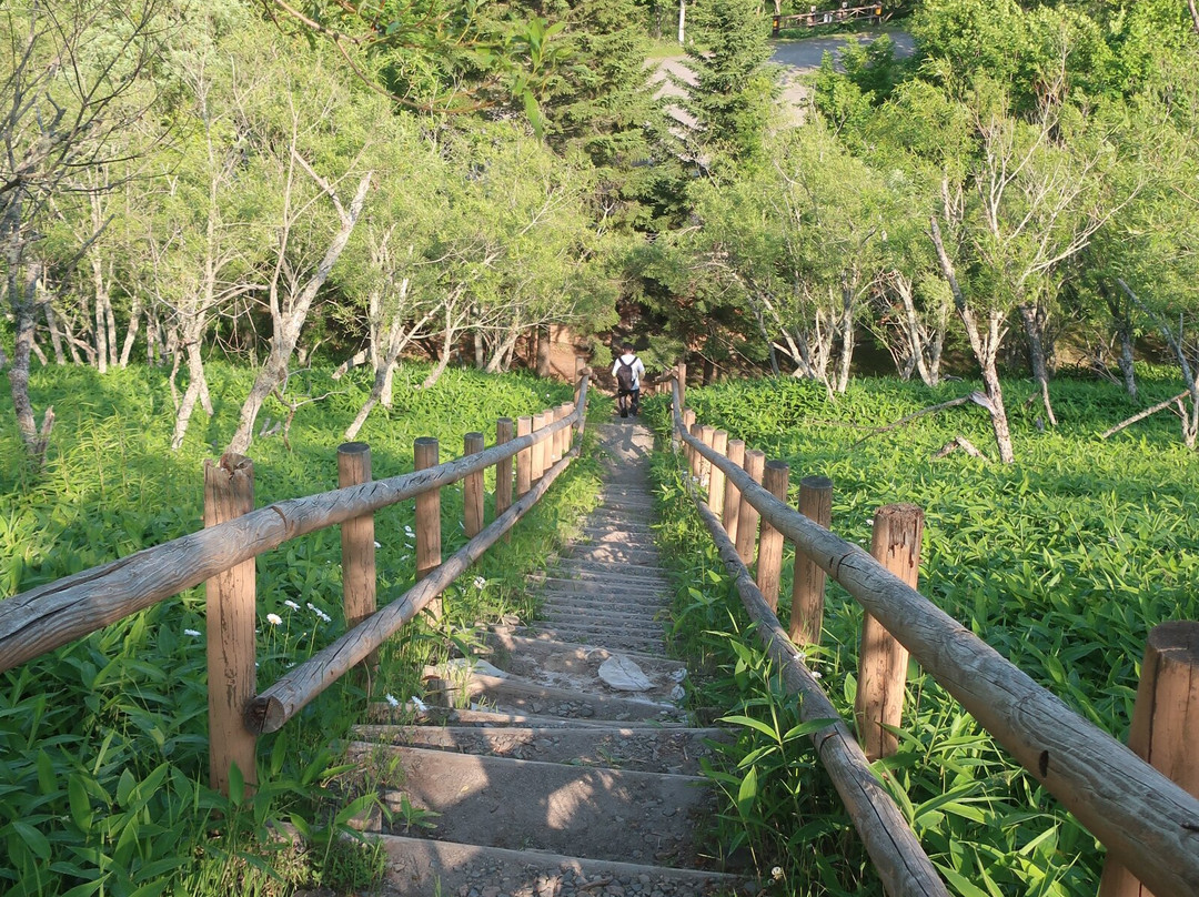 Kottaro Swamp Observatory-标茶町必去景点
