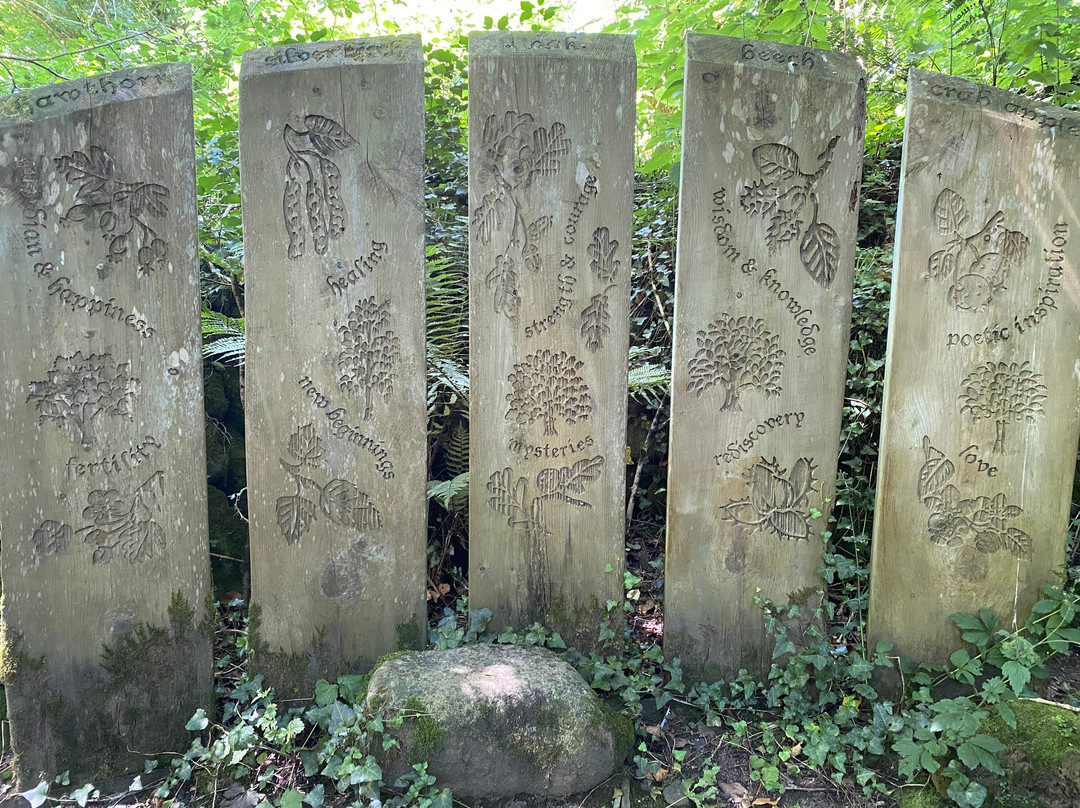 Simmons Park-Okehampton必去景点