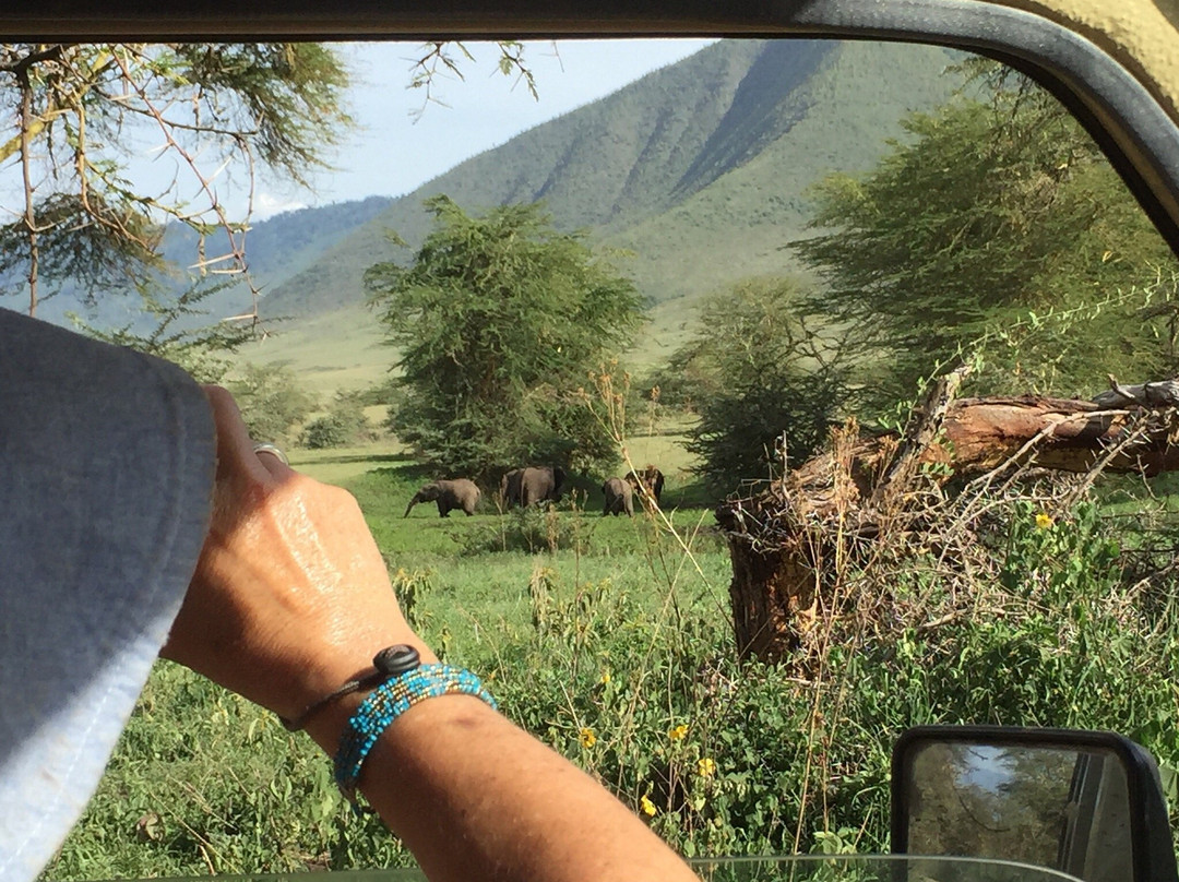 Livingstone Safari Tanzania-阿鲁沙必去景点