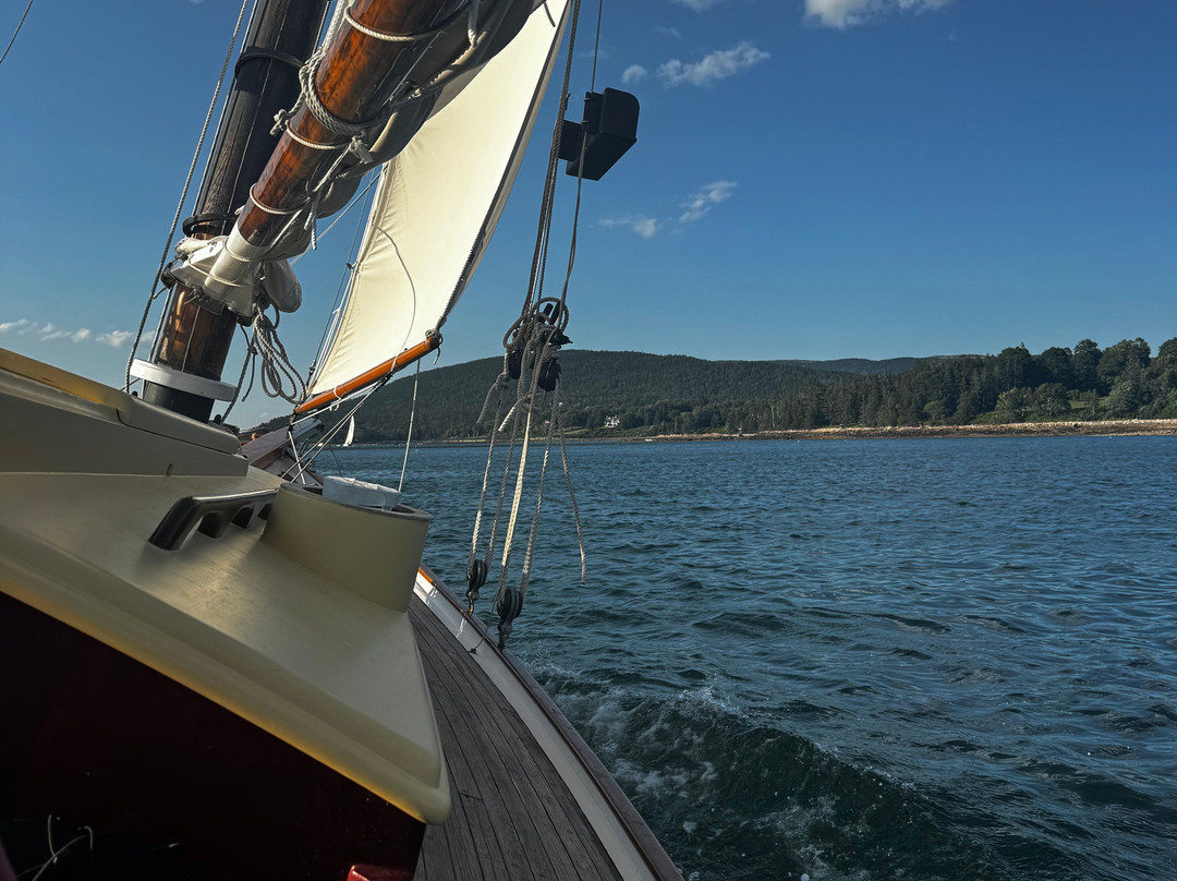 Sail Acadia-Southwest Harbor必去景点
