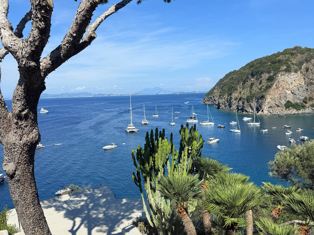 梅萨托雷酒店&温泉SPA Mezzatorre Hotel&Thermal Spa（意大利）主图
