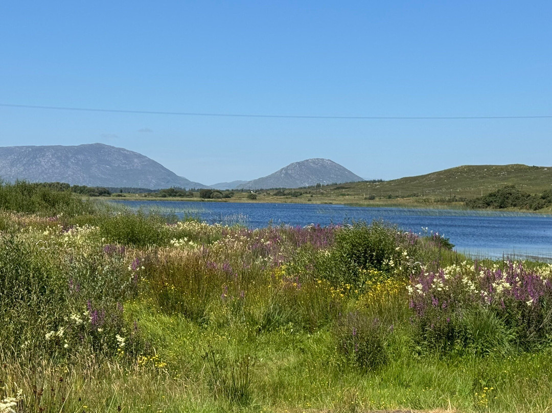 Connemara Equestrian Escapes