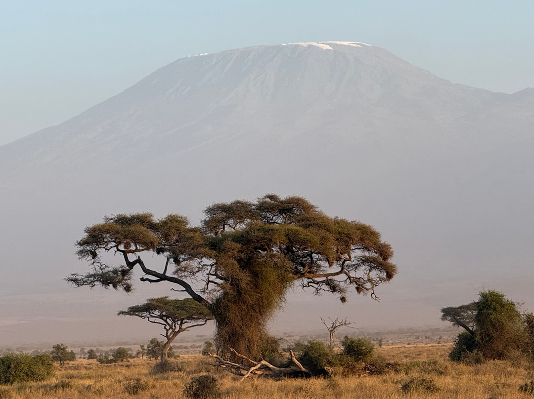 Safari Kenya Plus - Private Day Tour-马林地必去景点