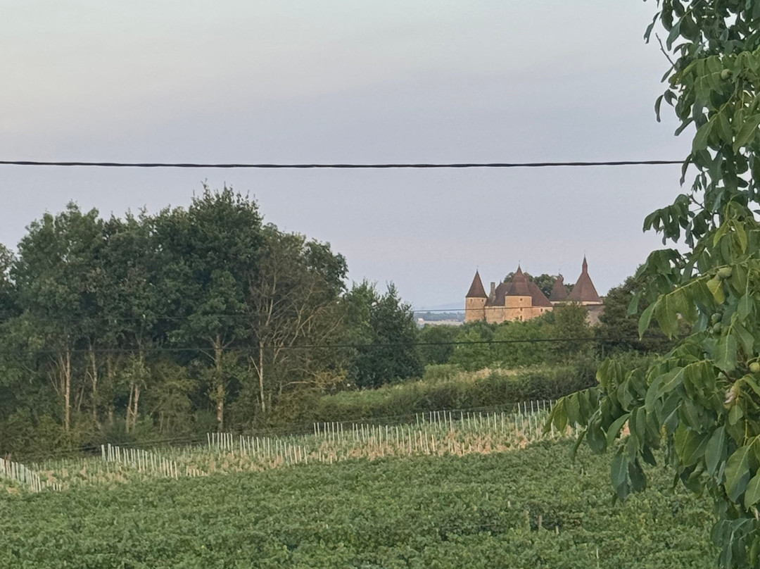 Château de Corcelles-Corcelles-en-Beaujolais必去景点