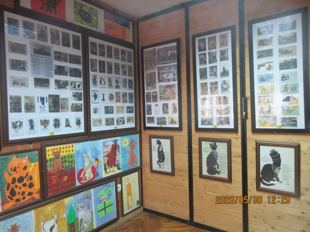 Cats Museum-科托尔必去景点