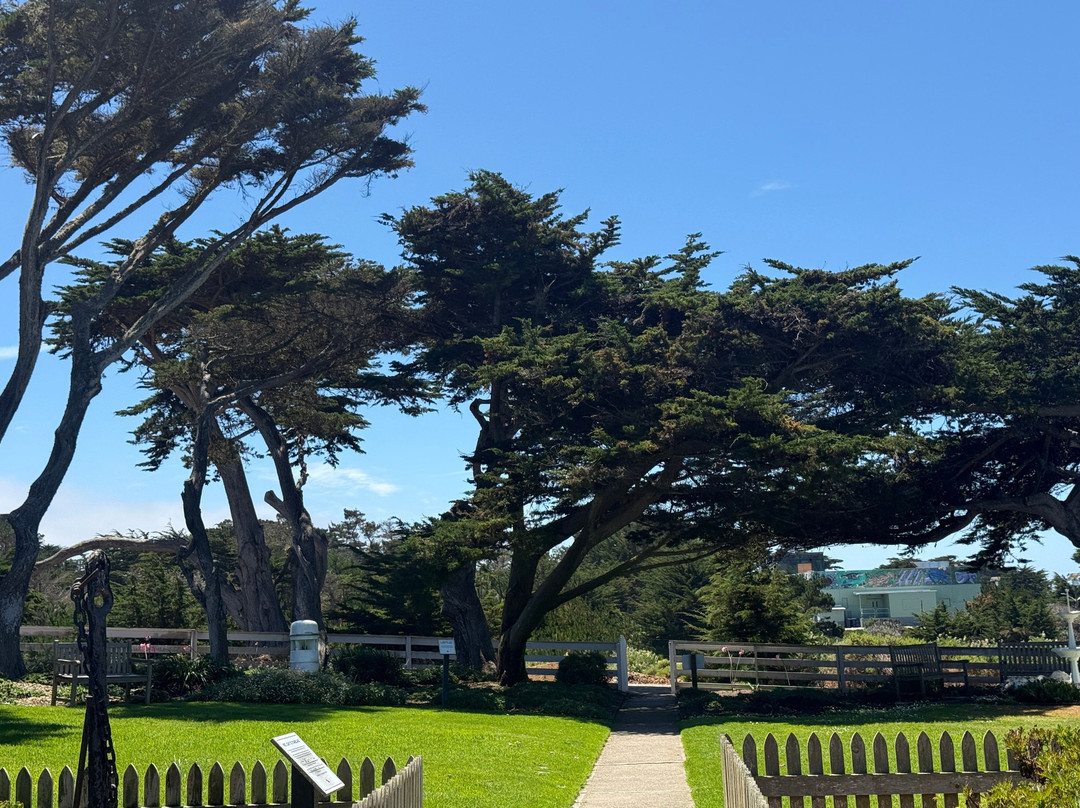 Point Pinos Lighthouse-太平洋丛林镇必去景点