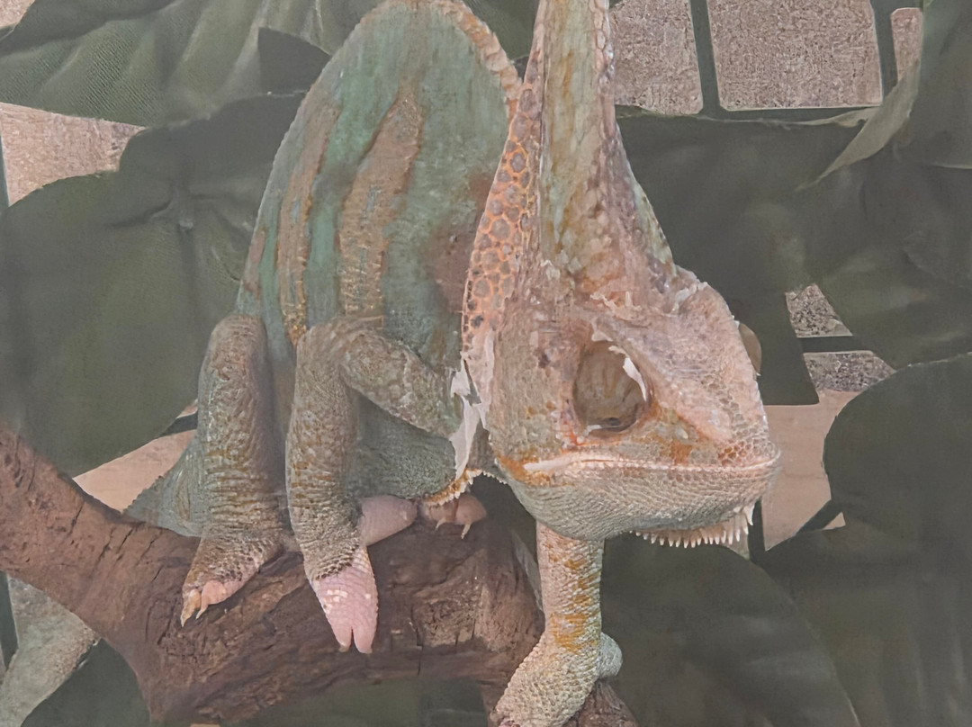 Ark Wildlife Park & Exotic Animal Sanctuary-Stickney必去景点