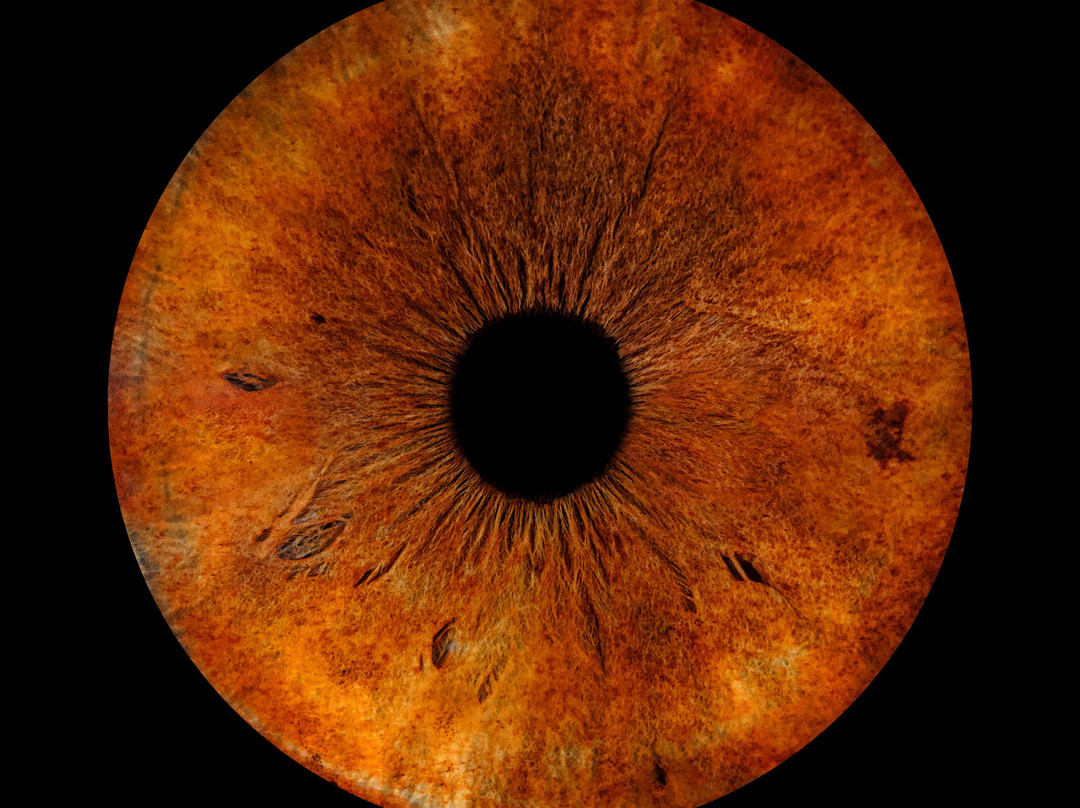 Iris Galerie Maastricht