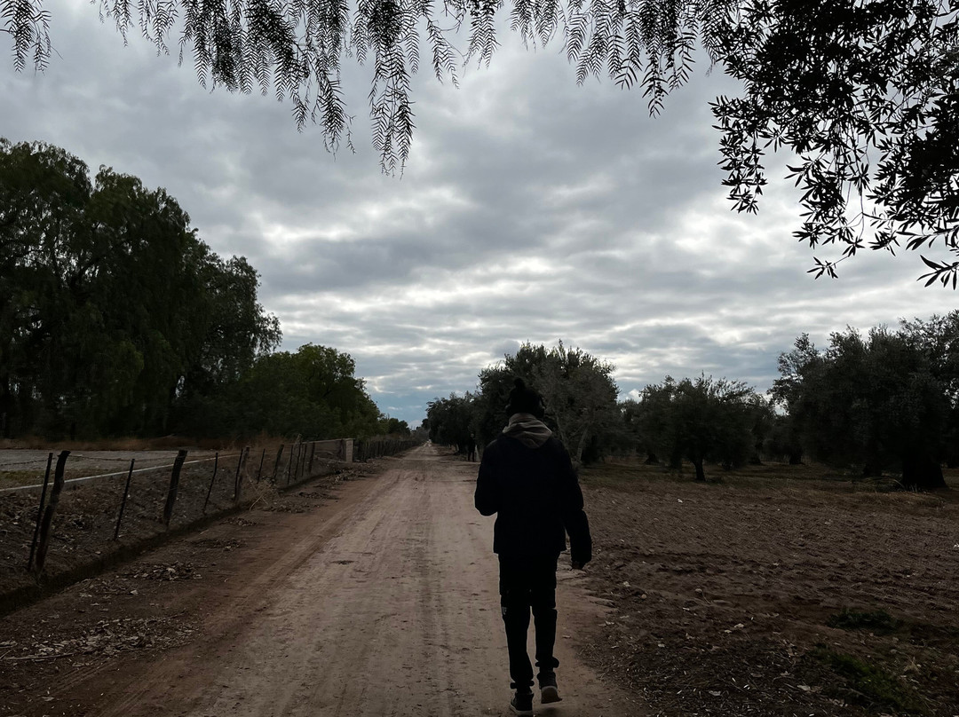 Finca El Paraíso - Bodega Luigi Bosca-Maipu必去景点