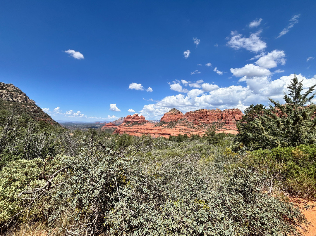 Arizona Safari Jeep Tours-塞多纳必去景点