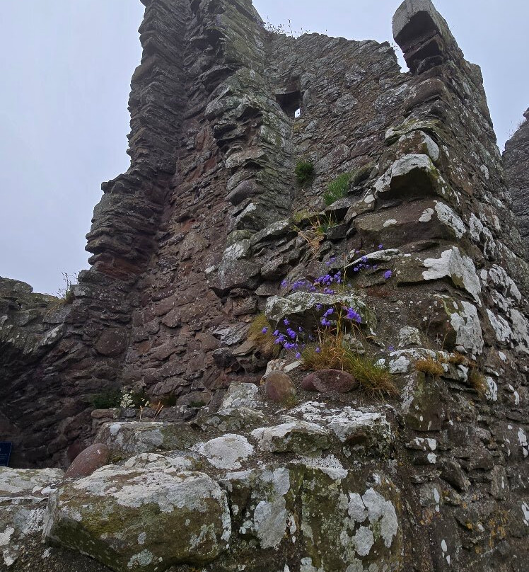 Dunnottar Castle-斯通黑文必去景点