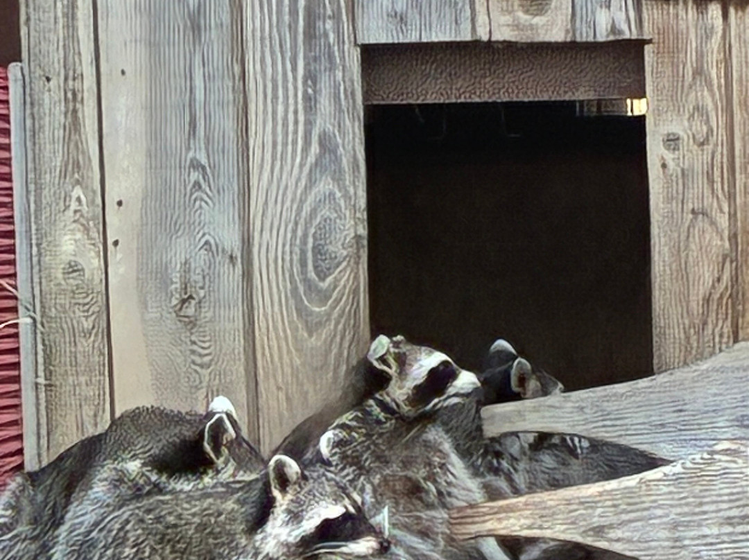 Parc Animalier De Sainte-croix-Rhodes必去景点