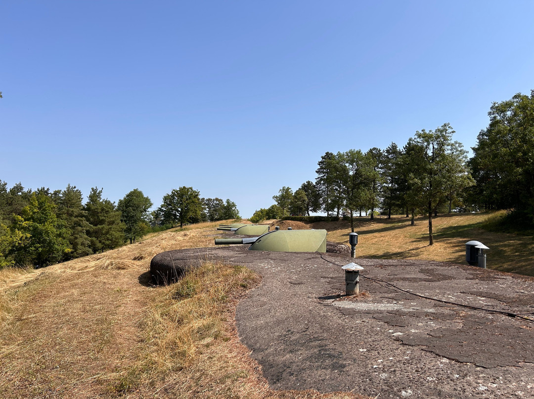 Mutzig Fort-Dinsheim-sur-Bruche必去景点