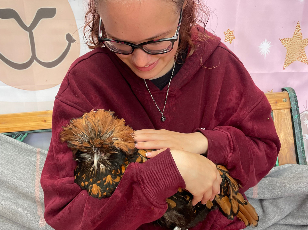 Woolly Experiences Therapy Farm-Mold必去景点