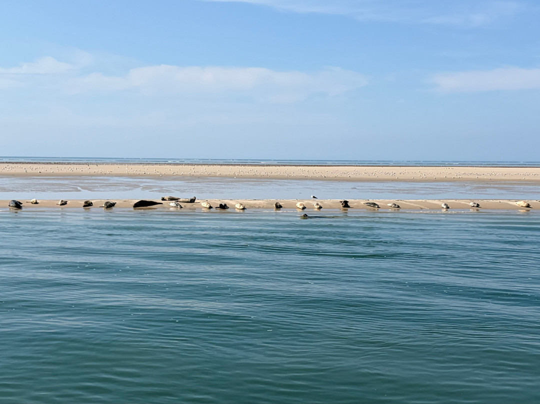 Expeditie Waddenzee-Ballum必去景点