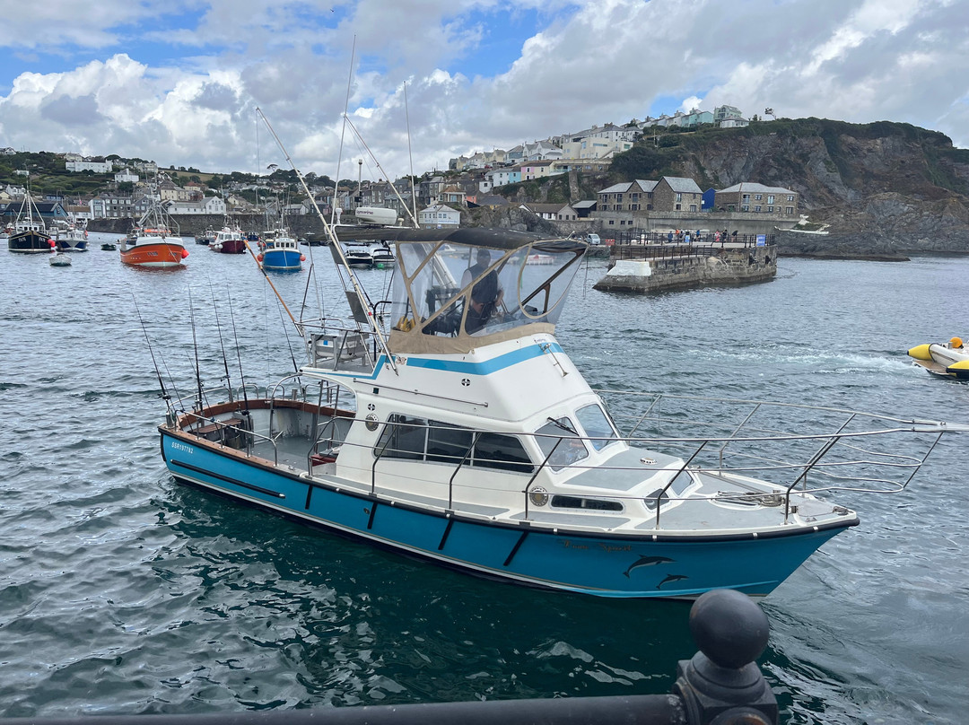 Aquila Charters-梅瓦吉西必去景点
