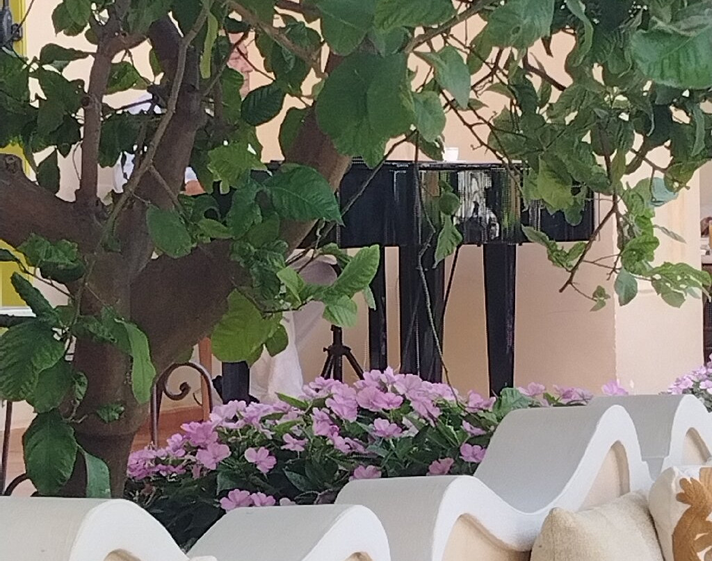 穆拉特宫酒店主图