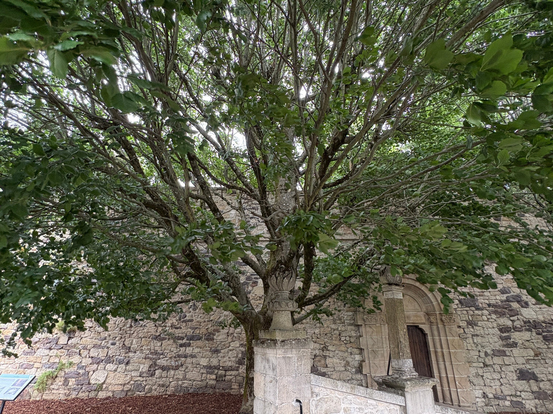 Eglise Saint-Donat-阿尔隆必去景点