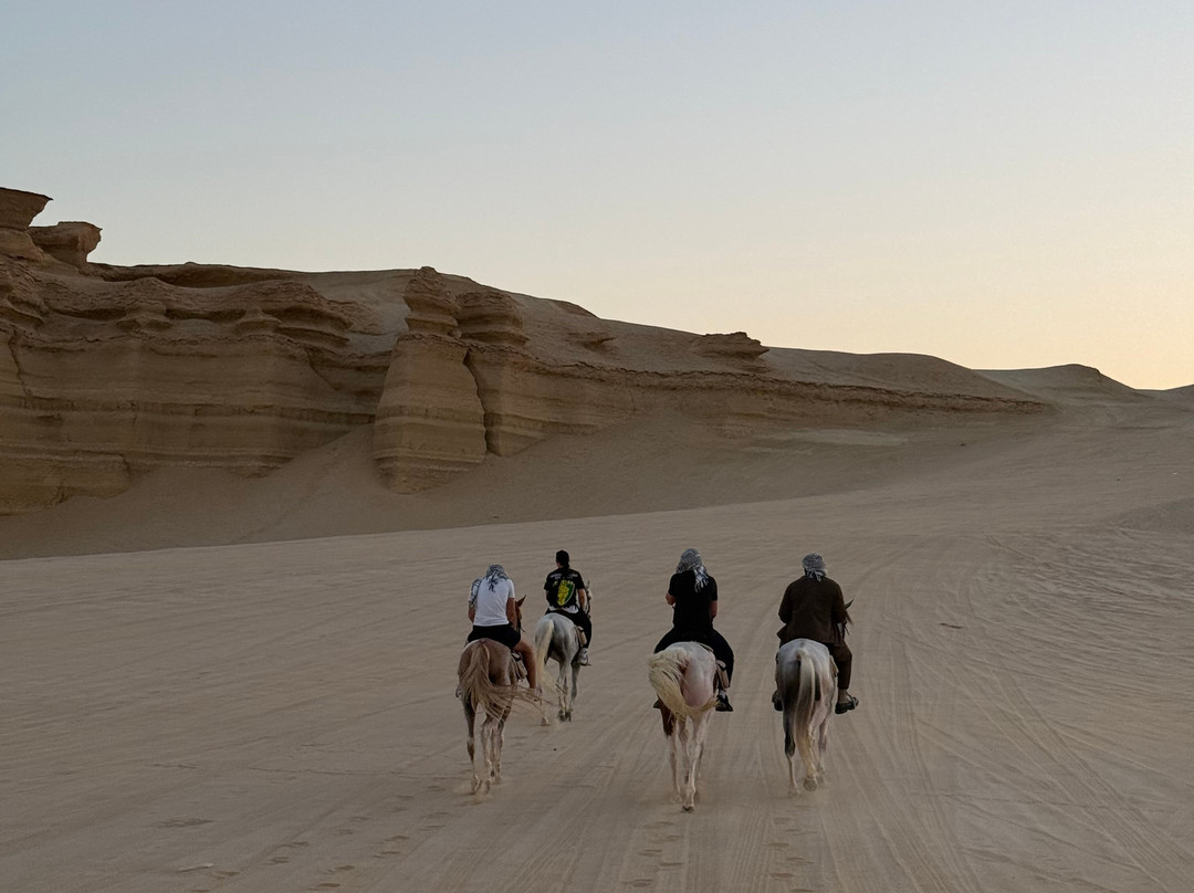 Horse Trips Egypt-Tunis必去景点