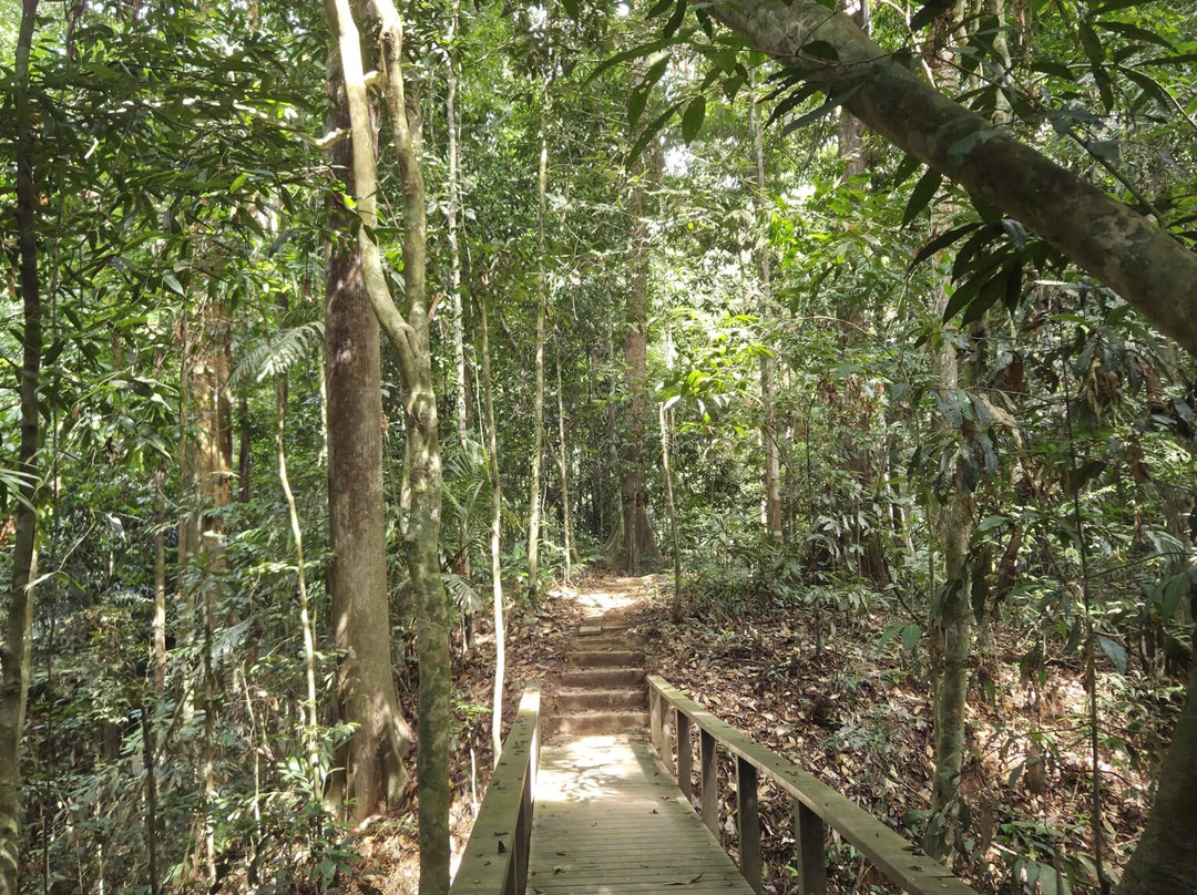Taman Negara National Park-彭亨必去景点