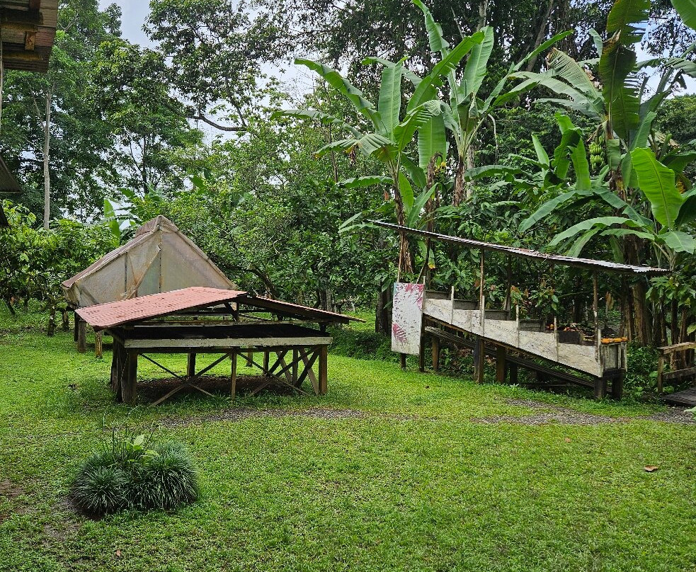 Cacao Trails Culture Tour-Hone Creek必去景点