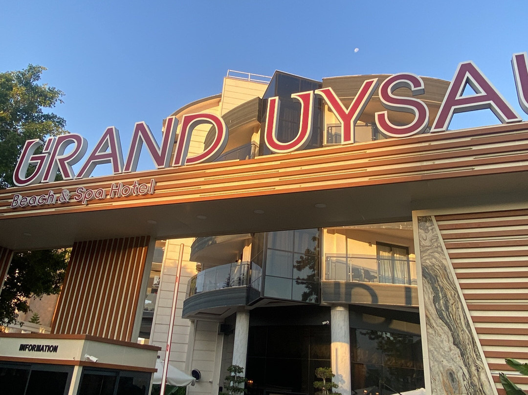 大阿似博海滩和水疗酒店 - 全包主图