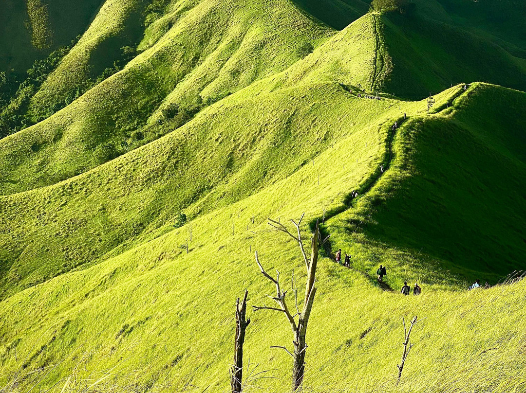 Adventure Seekers Travel Services