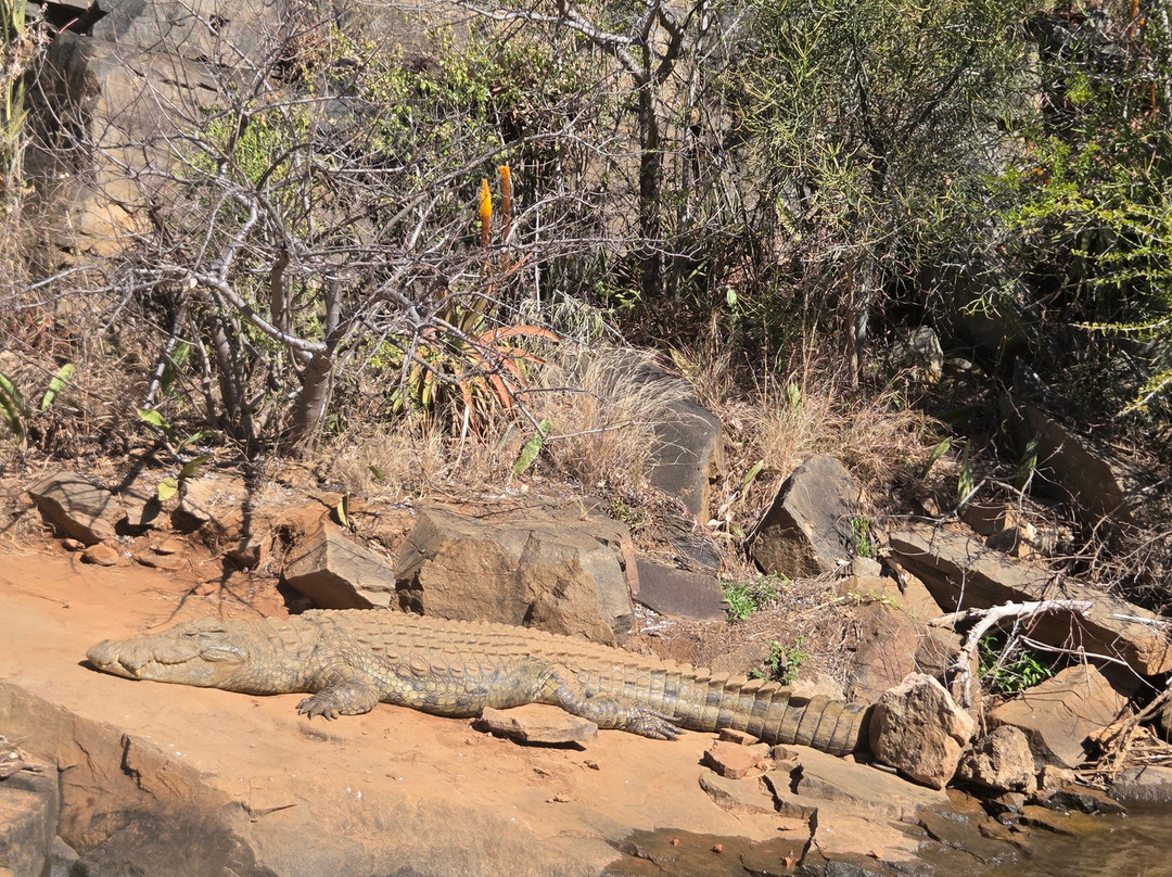 Blyde Canyon Adventure Centre-霍德斯普鲁特必去景点