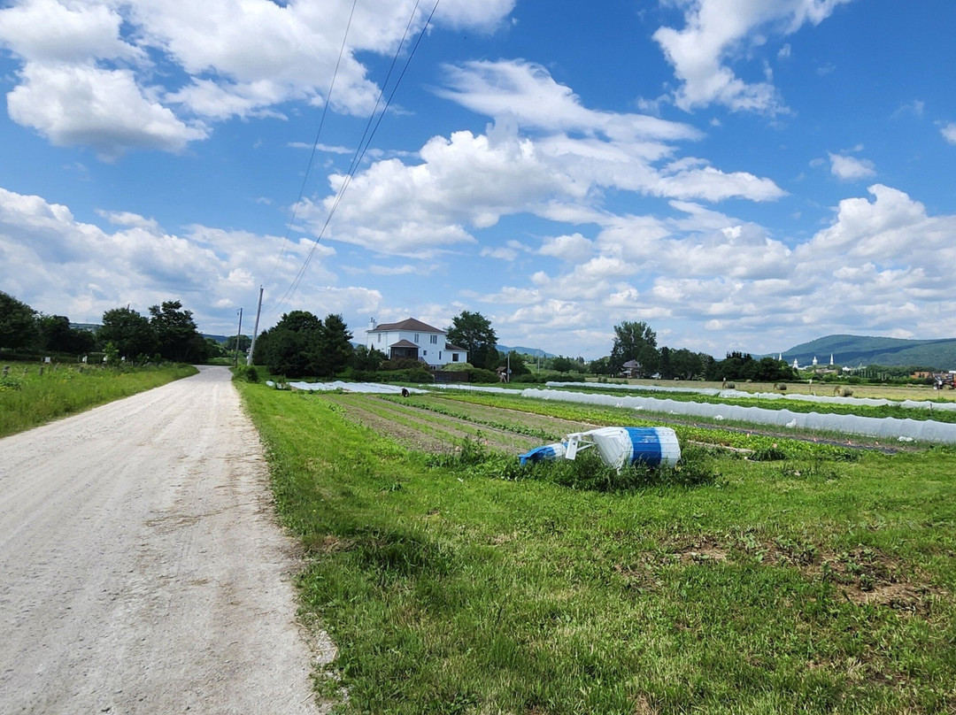 Ferme L'Oiseau Bleu-Baie-St-Paul必去景点