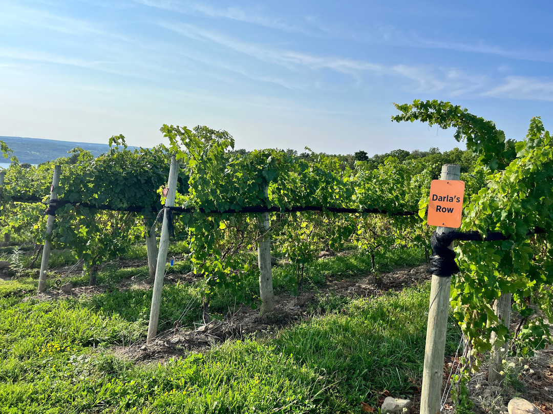 Flatt Rock Wine Cellars