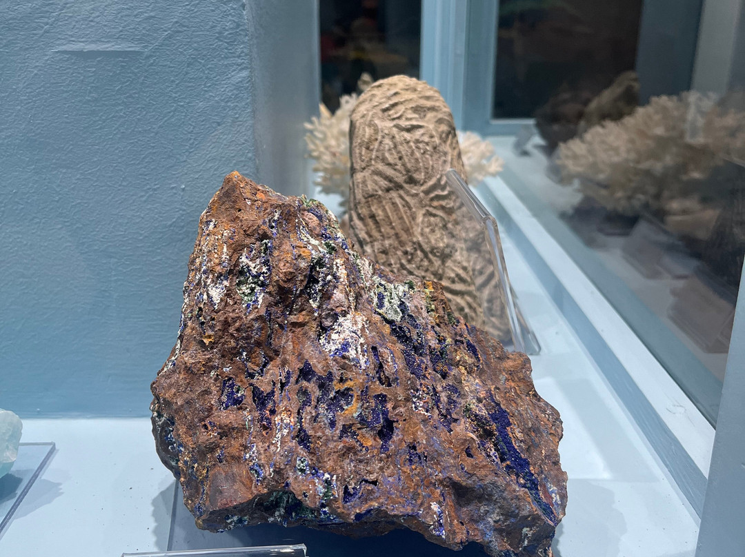 Geological History Museum Olympus-Leptokarya必去景点
