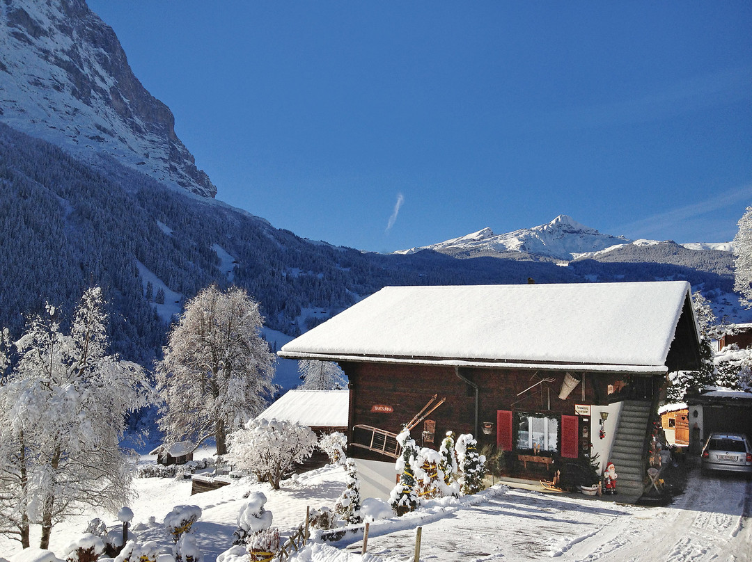 Chalet Bärgsunna主图