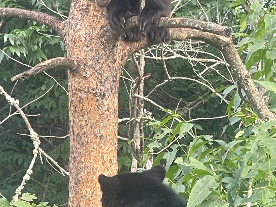 Vince Shute Wildlife Sanctuary-Orr必去景点