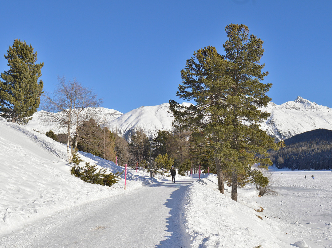 Trenino Rosso del Bernina-蒂拉诺必去景点