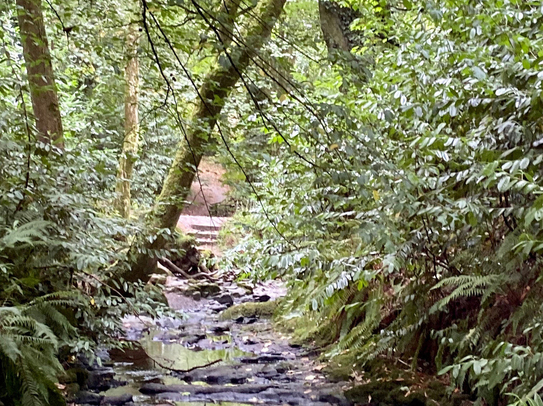 Gosford Forest Park-阿尔马必去景点