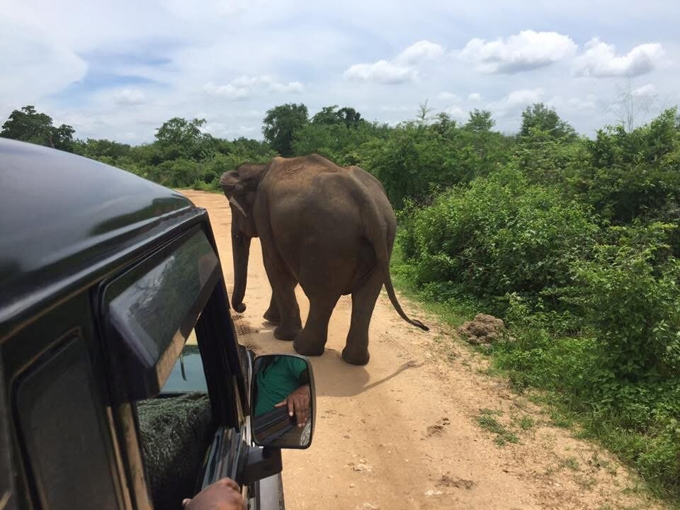 Apeksha Travels & Tours-Rathgama必去景点