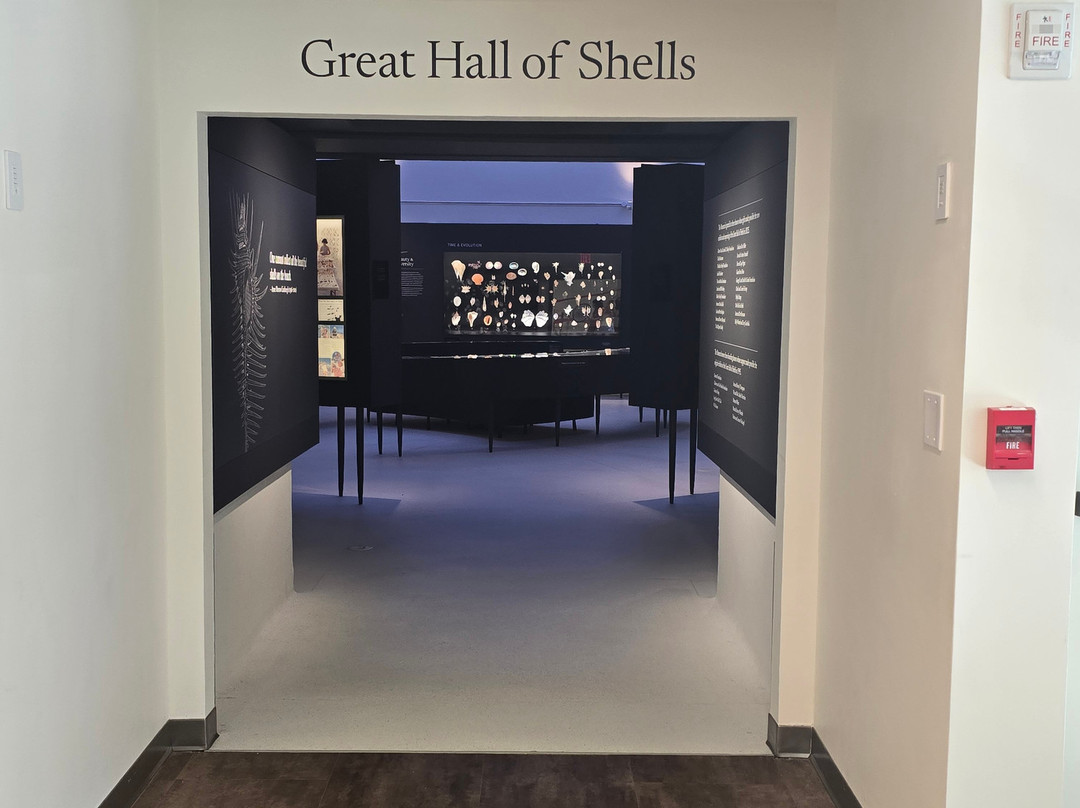 The Bailey-Matthews National Shell Museum & Aquarium-萨尼贝尔岛必去景点