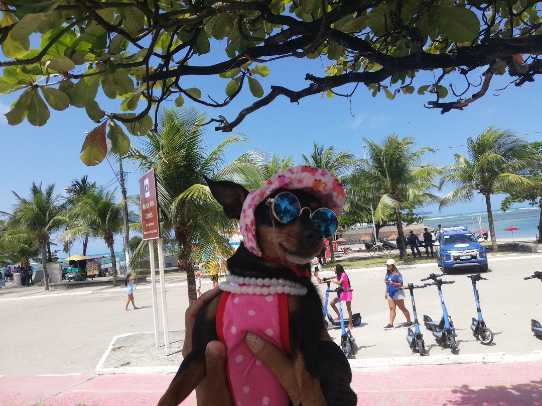Praia de Jatiúca-Maceio必去景点