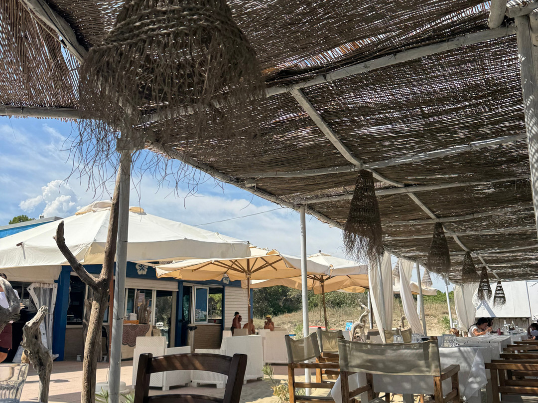 Go Go Beach-Lido di Classe必去景点