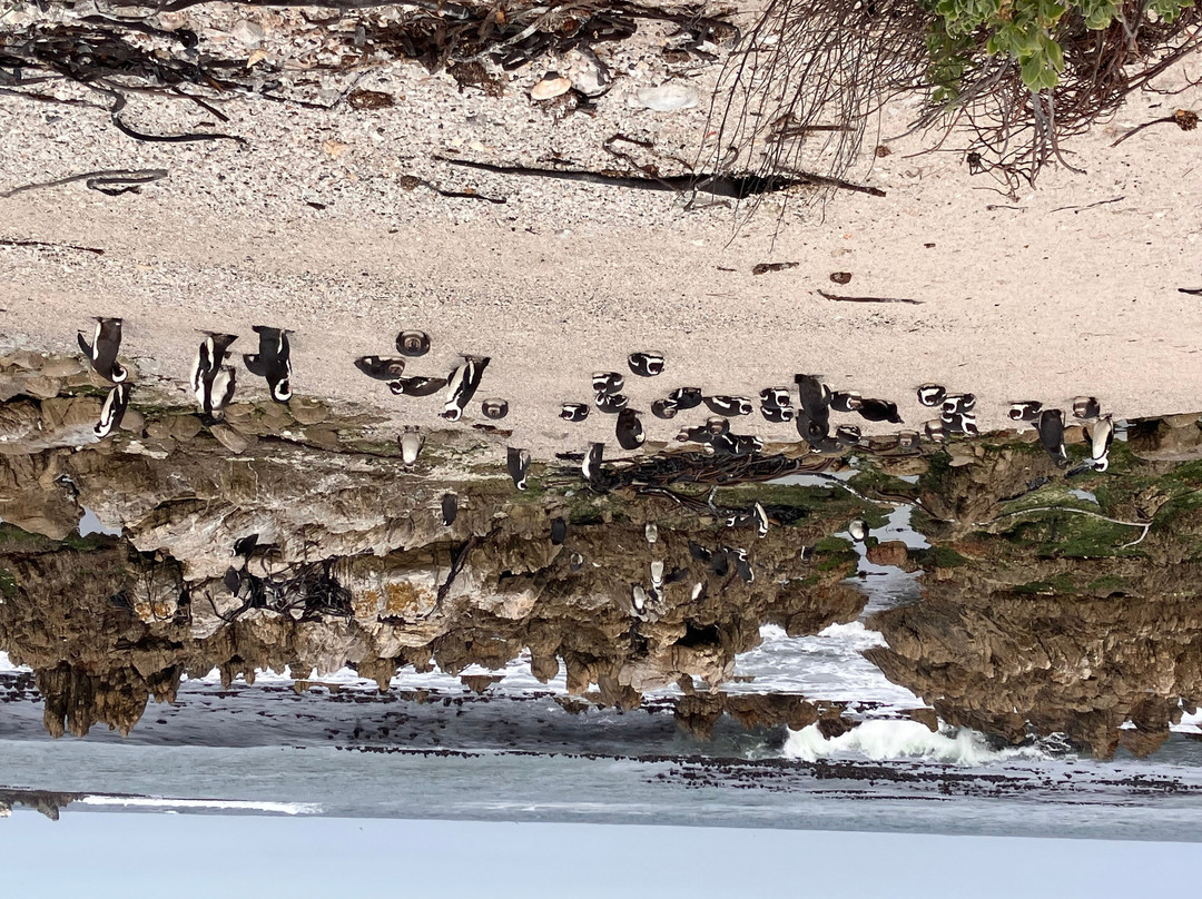 Umzantsi Afrika Tours-伊丽莎白港必去景点