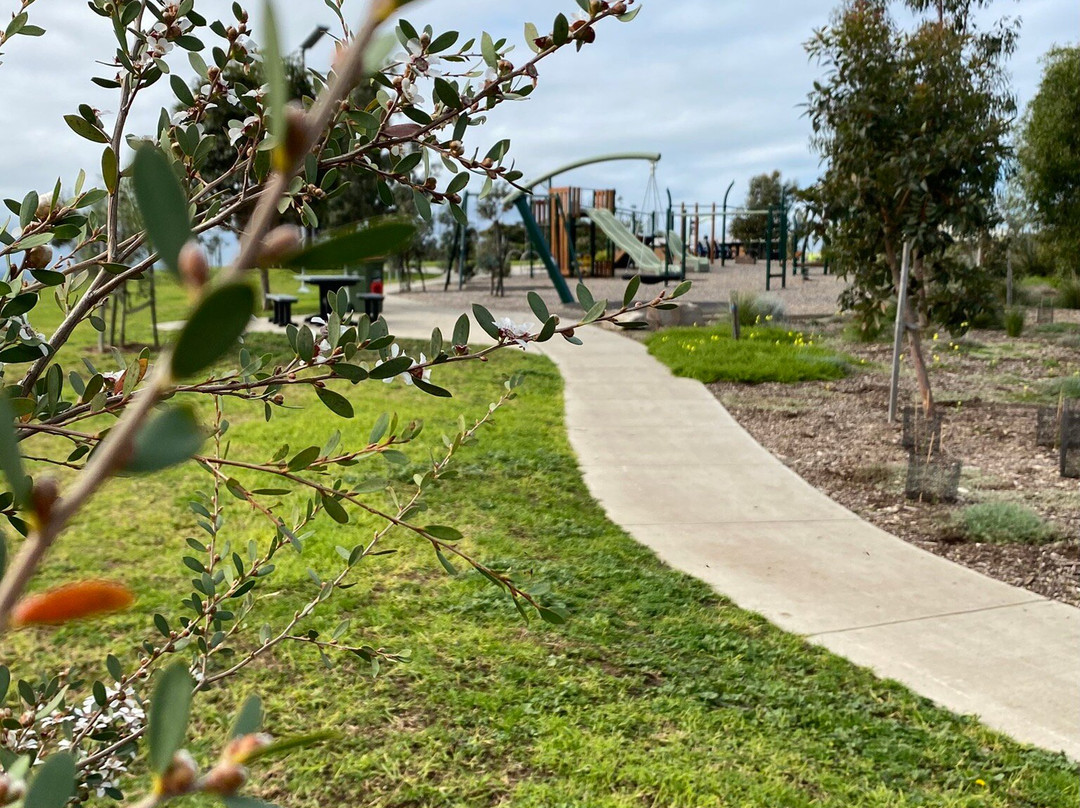 Anderson Street Reserve-圣雷莫必去景点