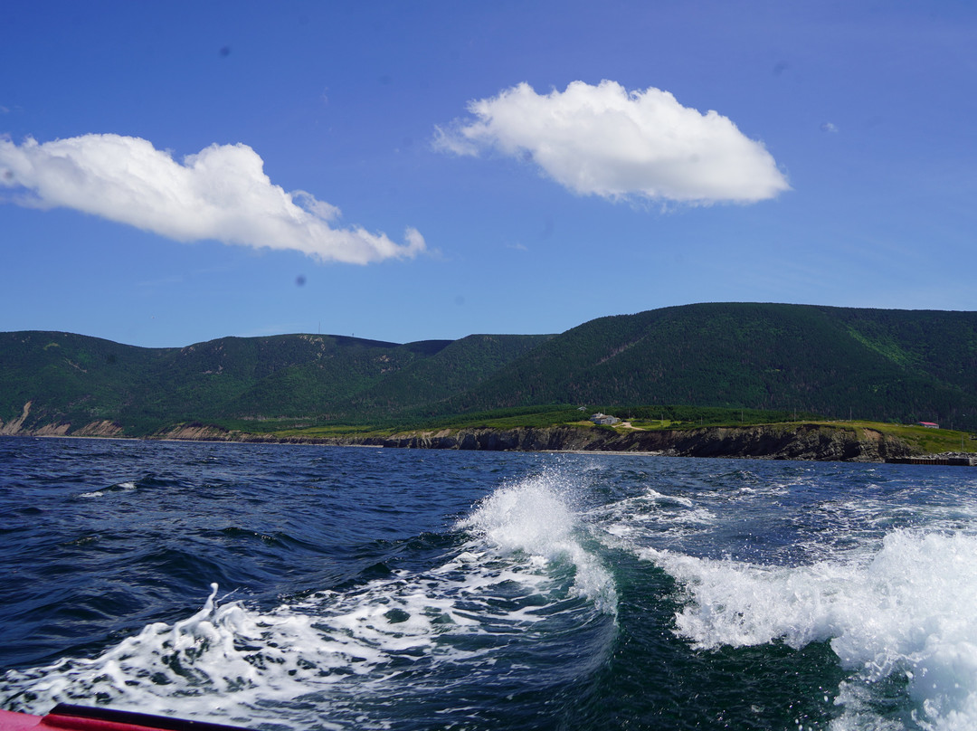 Oshan Whale Watch-Bay St. Lawrence必去景点